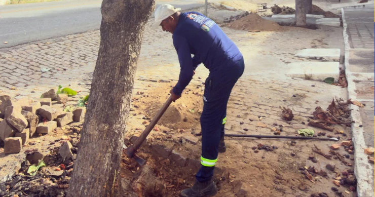Pedra Lavrada realiza ação conjunta para prevenir danos causados por raízes de árvores