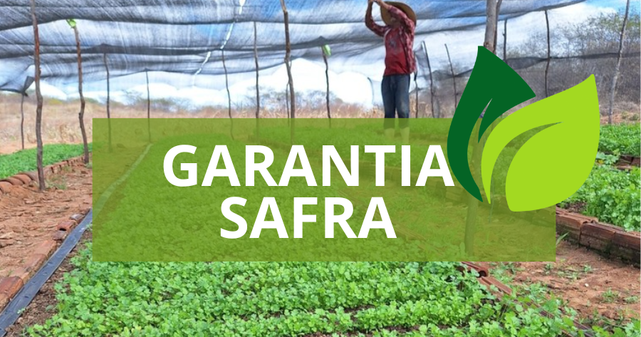 Pedra Lavrada inicia distribuição dos Boletos do Garantia Safra 2025