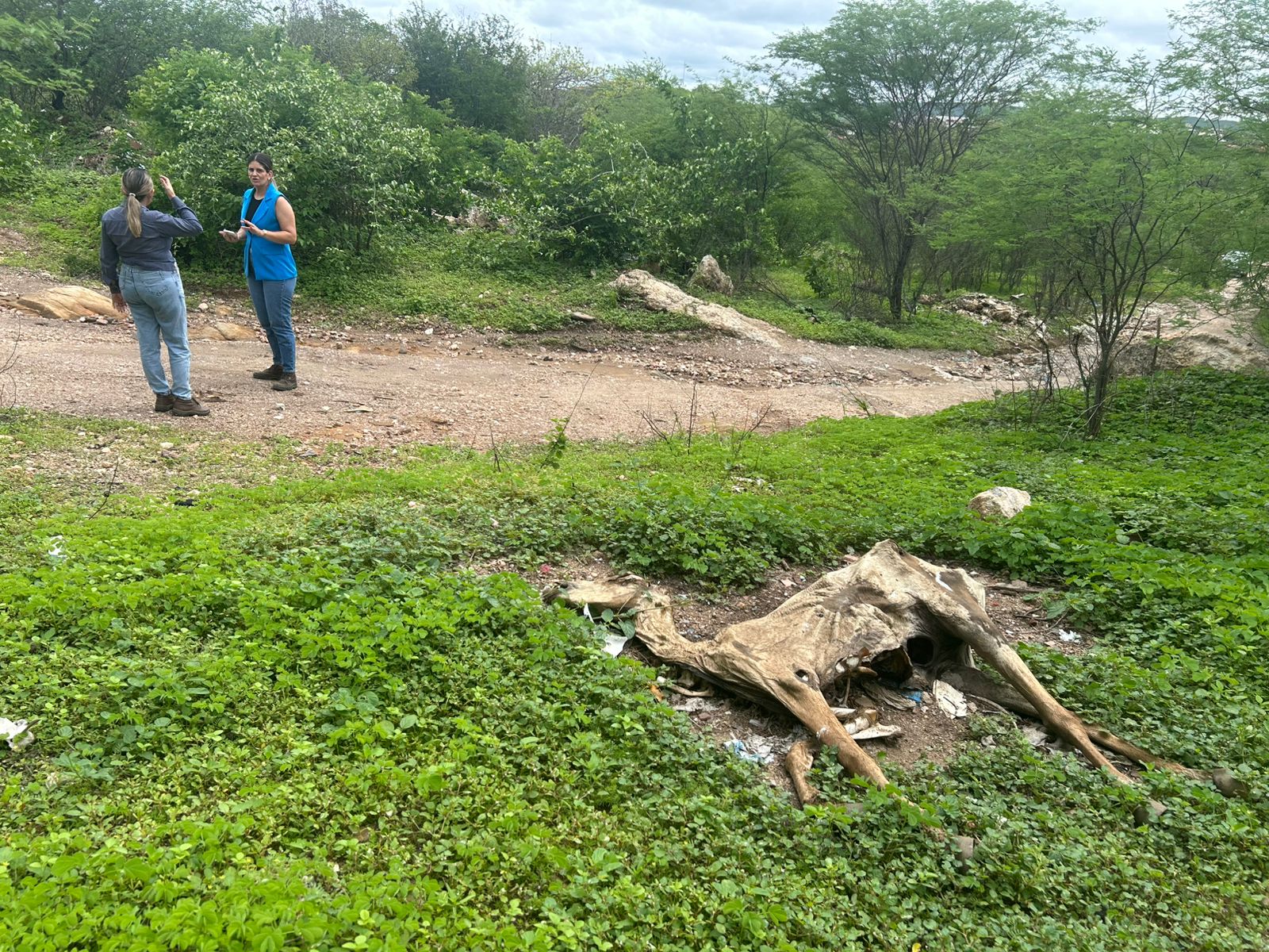 Secretaria de Meio Ambiente de Pedra Lavrada inicia projeto de recuperação da área do antigo lixão