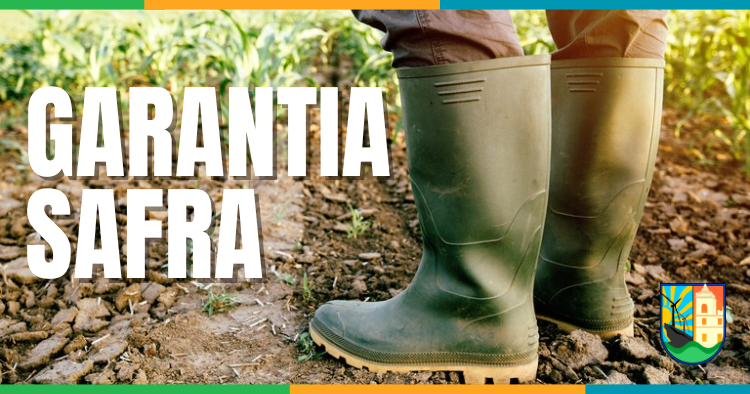 Agricultores de Pedra Lavrada recebem Garantia-Safra em parcela única