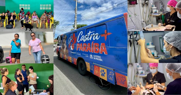 Pedra Lavrada recebe ação do programa Castra + Paraíba com castrações na zona urbana e na zona rural